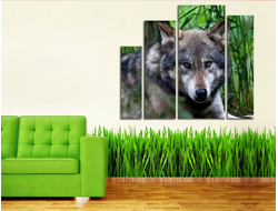 Модульная картина "Волк"