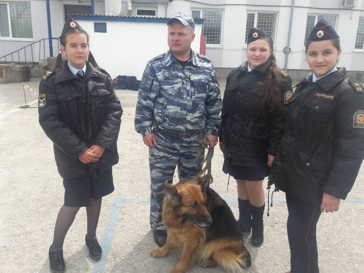 собаки кинологической службы. полиция рф кинологи. кинолог женщина. кинолог москва. военный кинолог.