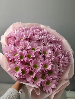 Букет 9 кустовых хризантем (цвет на выбор)