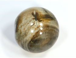 Шар Окаменелое дерево, Мадагаскар (35 мм, 57 г) №20703