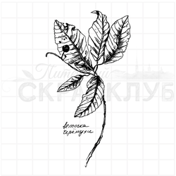 штамп черемуха