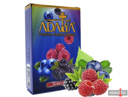Adalya (Акциз) 50g - Berry Mix (Малина Черника Ежевика)