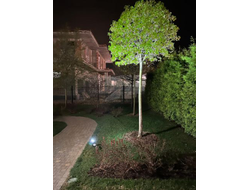 Прожектор ландшафтный на колышке HAMBURG LED 4х2вт