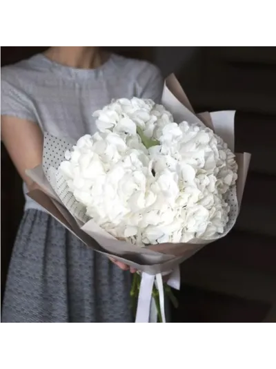 5 розовых гортензий