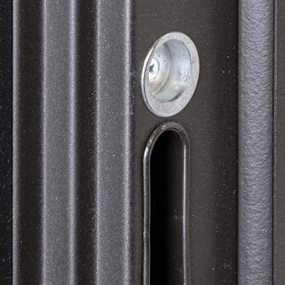 Стальная дверь   Dominica с зеркалом. Заказная модель.