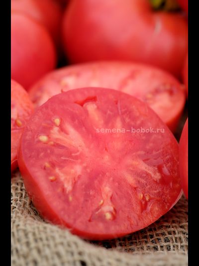 Томат Минусинский Низкий, 10 шт