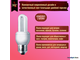 Philips Genie Esaver 8yr 5w 827 E27