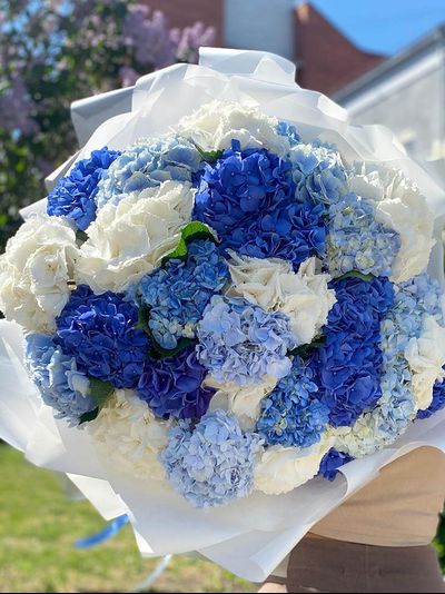 Микс из 31 гортензии