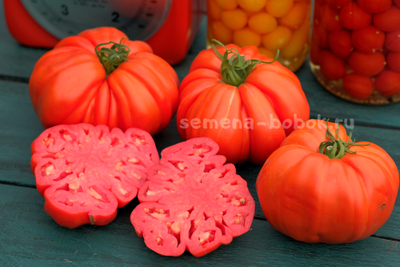 Томат Rim (Рим), 10 шт