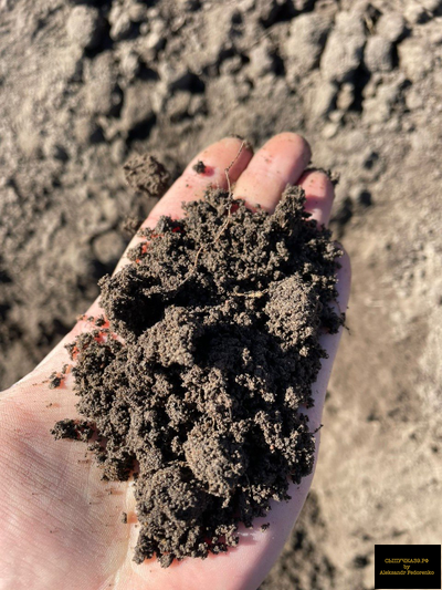 коричневый грунт полевой