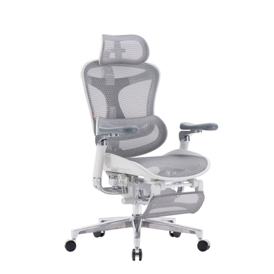 Ортопедическое кресло SIHOO Doro C500 | серо-белое