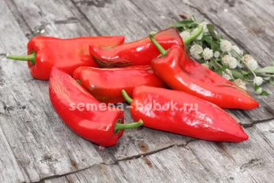 Перец сладкий Sprit Paprica (Сприт Паприка), 10 шт.