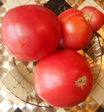 Томат Большая малина (Great Raspberry)