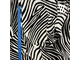 Масло принт Зебра 3D