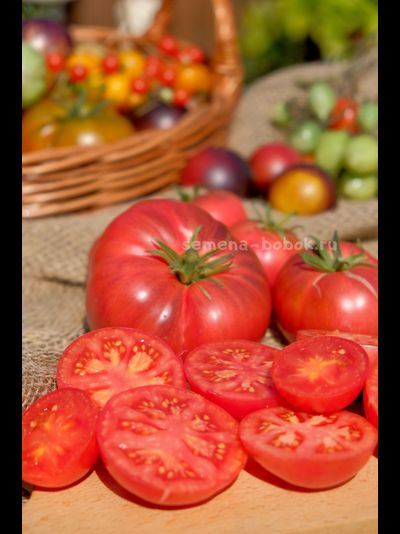 Томат Rebel Starfighter Kayleigh Anne Pink (Восставший Звездный Истребитель Кейли Энн Пинк ), 10 шт