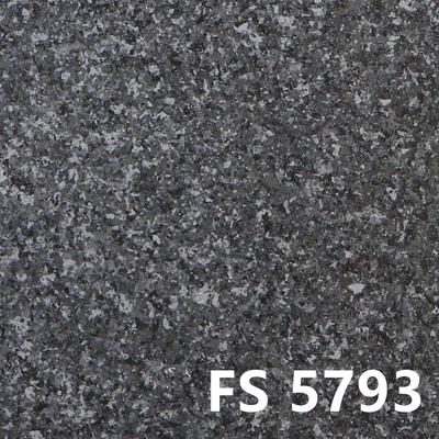 H5000-FS5793
