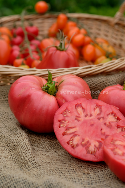 Томат Минусинский Безразмерный, 10 шт