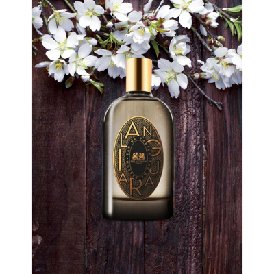 Phaedon Paris парфюмерная вода Ilanguara