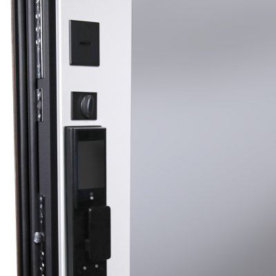 Стальная дверь   Plata с зеркалом (биометрический замок Smart lock DZ 888)