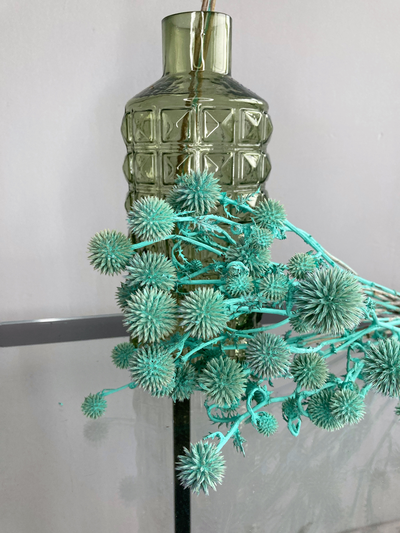 Мордовник тиффани