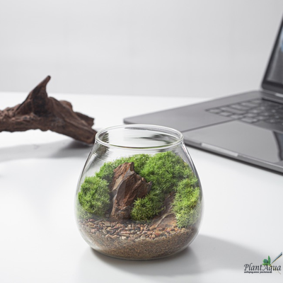 Чаша Пузырь Biolark  FOUR (120мм х 105мм)