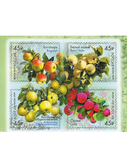 Флора России. Сорта яблони (кв.блок)