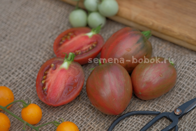 Томат Dwarf Grail (Гном Грааль), 10 шт