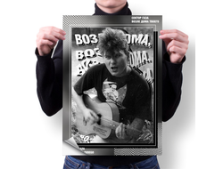 Плакат Сектор Газа, Юрий Хой №36