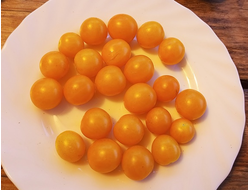 Томат Монисто янтарное