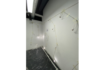 Стена - 2 слоя гипсокартона. Сперва размечаем точки подключения к световым панелям, режем штробы фрезером, закладываем провода, зачищаем и надеваем клеммники. На конец каждого участка цепи подключаем кусочки лент, чтобы контролировать целостность цепи. 