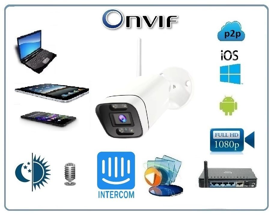 DE-W9317D Уличная WiFi/LAN телекамера с встроенным видеорегистратором, микрофоном, динамиком (интерк