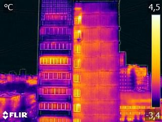 Картинка. Образец термограммы снятой на Flir E8