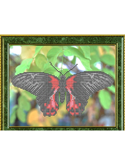 Парусник Румянцева, К4150