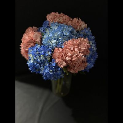 Гортензия 9 шт