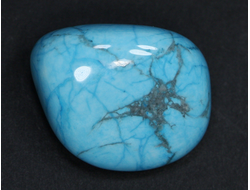 Говлит тонированный, галтовка, Зимбабве (31*25*17 мм, 21 г) №21451