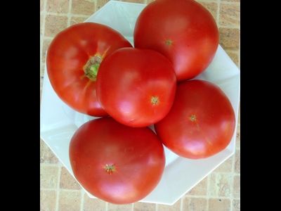 Томат Земляника Маргариты (Strawberry Margarita) США