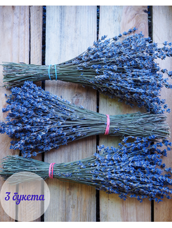 букет лаванды