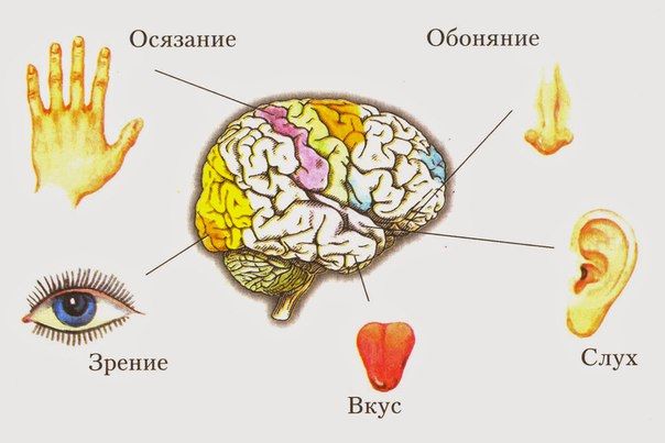 Духи парфюм винтажная парфюмерия туалетная вода парфюмированная где какие винтажные духи +купить 