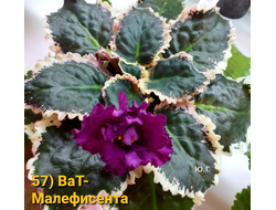 57) ВаТ- Малефисента