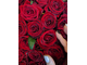 Красные розы, 101 роза, огромный букет из роз, большой букет, букет роз, лавка зефир
