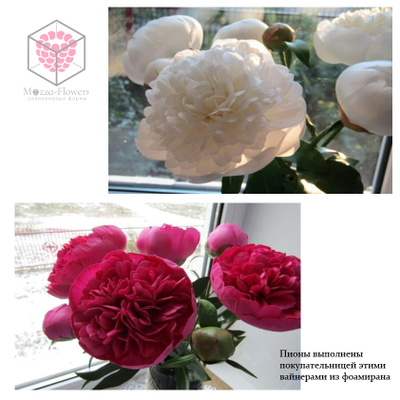 Набор вайнеров и каттеров "Лепестки пиона"