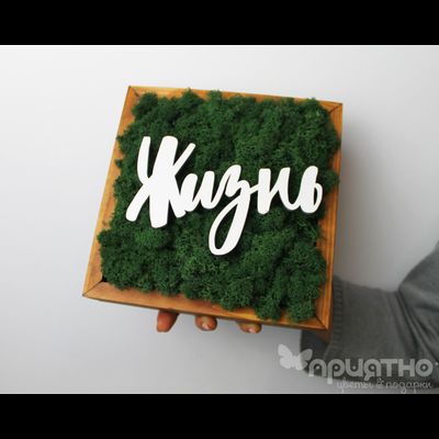 ЖИВАЯ ЭКО-КАРТИНА 1059