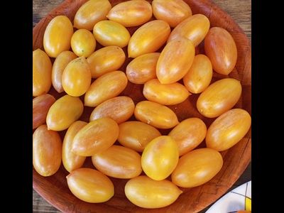 Томат Счастливый тигр (Artisan Lucky Tiger)