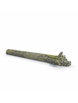 пни Бревно 032