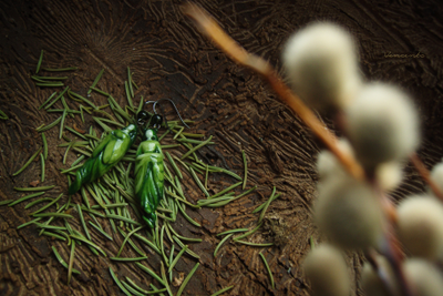 Комплект фарфоровых украшений "Лесная принцесса"