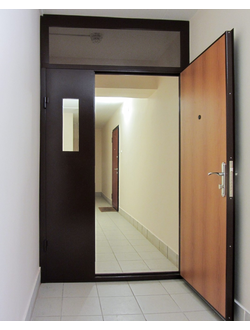 Дуэт двухстворчатая тамбурная дверь