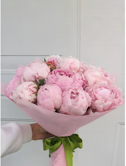 13 пионов в фетре