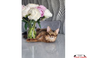 Выпускница Фокс.1