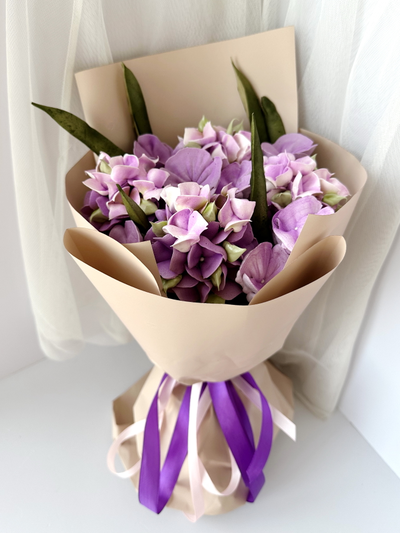 Пурпурная гортензия