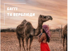 ПОЇЗДКА НА БАГГІ І ВЕРБЛЮДАХ У ШАРМ ЕЛЬ ШЕЙХУ